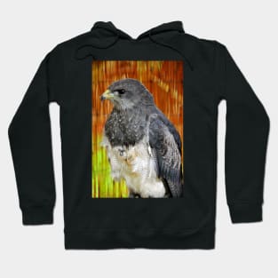 Chilean Eagle Black Chested Buzzard Hoodie